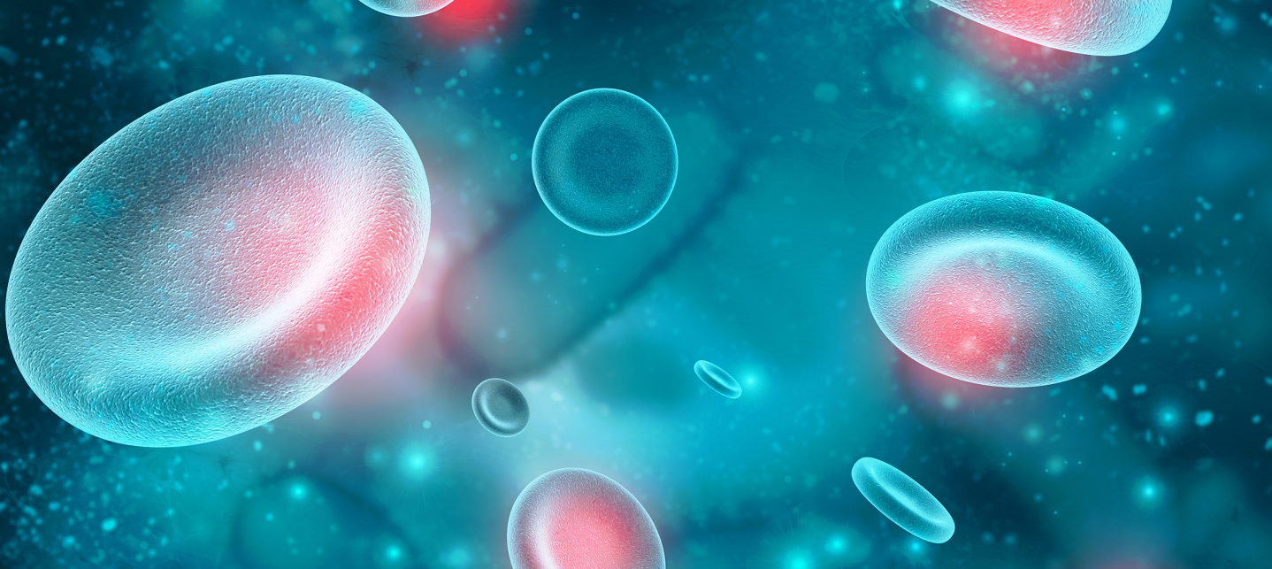 Hematology Blood Cancer Clinical & Regulatory Experience